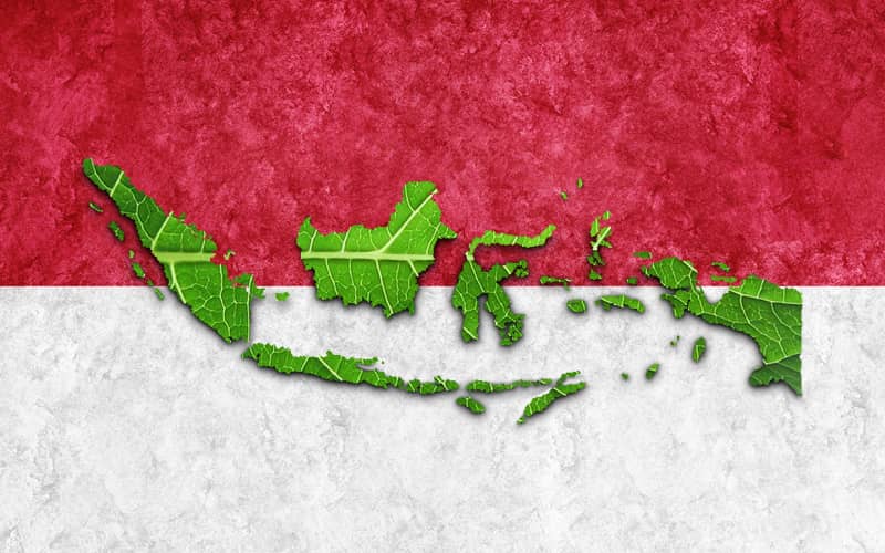 Introducing Indonesia